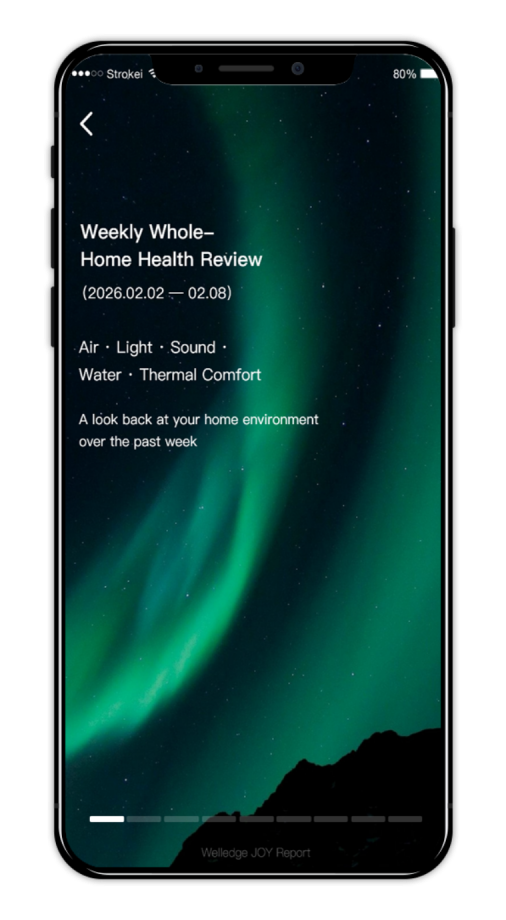 WellEdge APP 周报界面